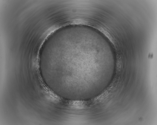 X0000094900832200712201132