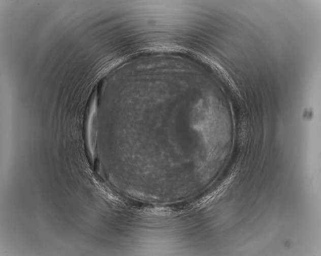 X0000094900833200712201132