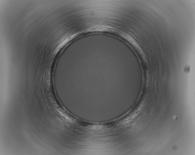 X0000094900834200712201132