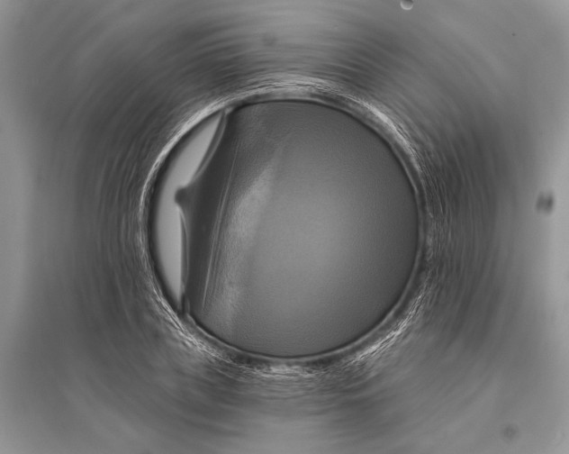 X0000094900835200712201132