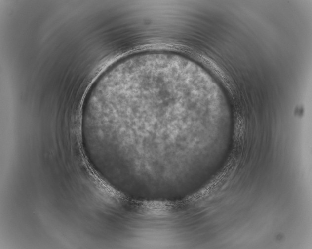 X0000094900836200712201132