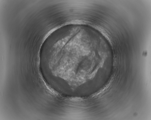 X0000094900837200712201132