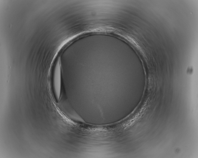 X0000094900838200712201132