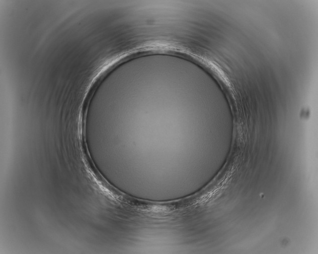 X0000094900839200712201132