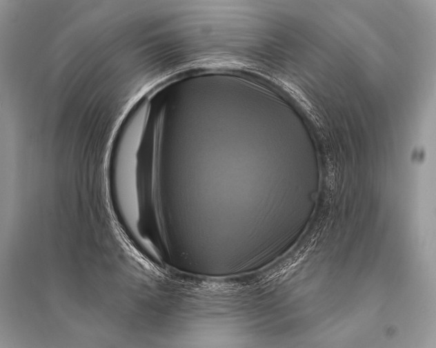 X0000094900840200712201132