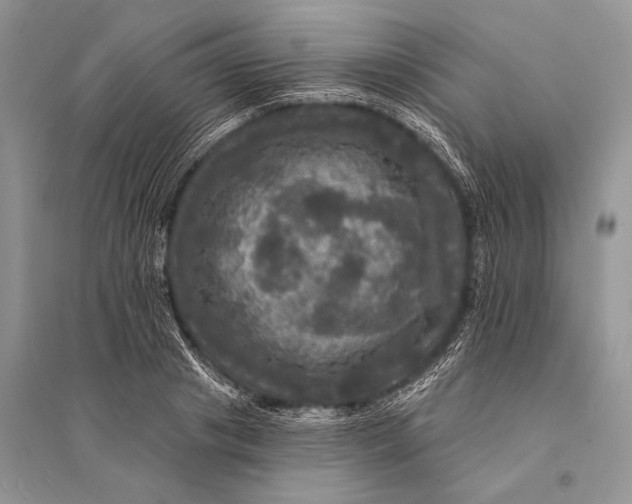 X0000094900841200712201132