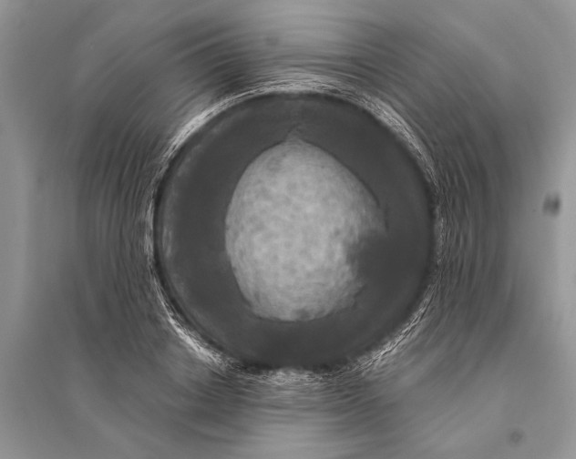 X0000094900842200712201132