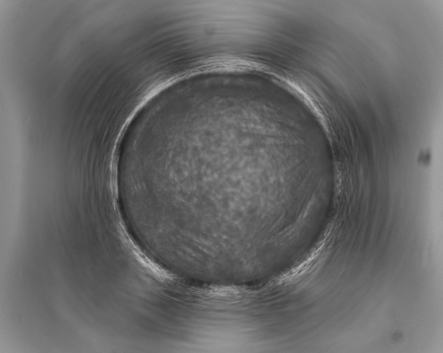 X0000094900843200712201132