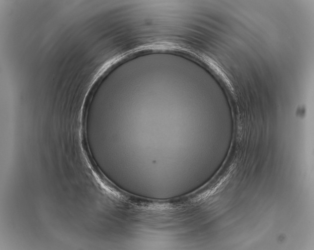 X0000094900845200712201133