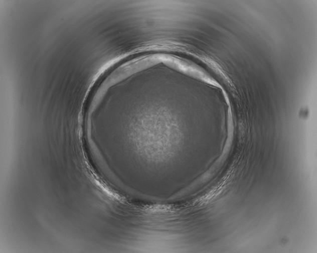 X0000094900846200712201133