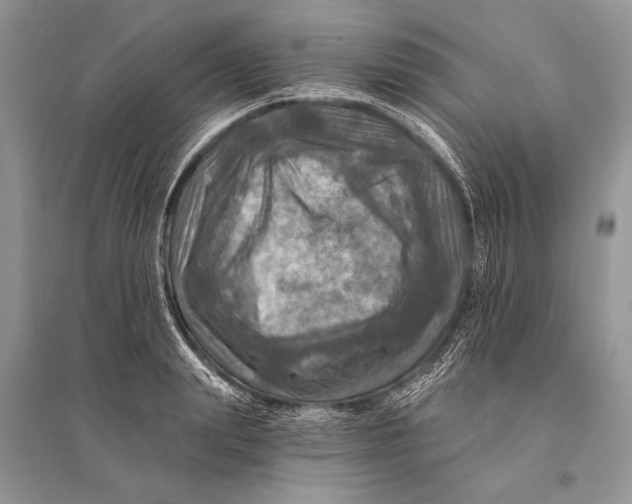 X0000094900847200712201133