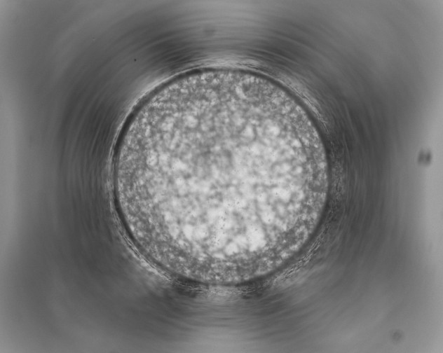 X0000094900848200712201133