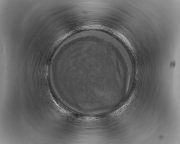 X0000094900849200712201133