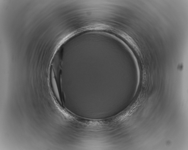 X0000094900850200712201133