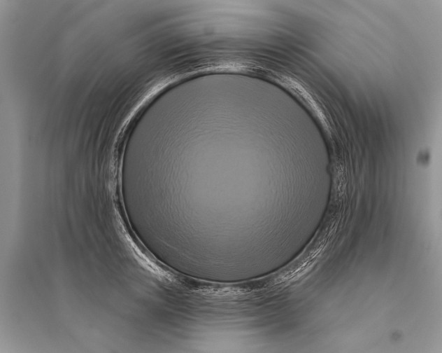 X0000094900851200712201133