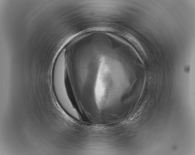 X0000094900852200712201133