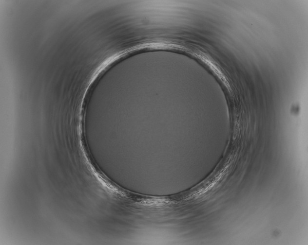 X0000094900853200712201133