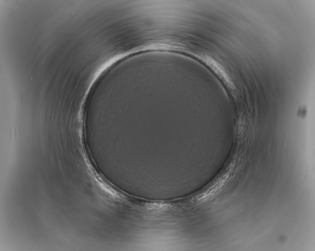 X0000094900854200712201133