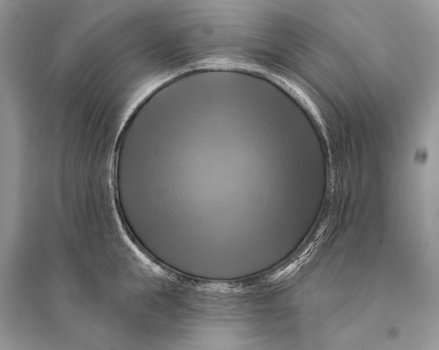 X0000094900855200712201133