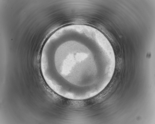 X0000094900856200712201133