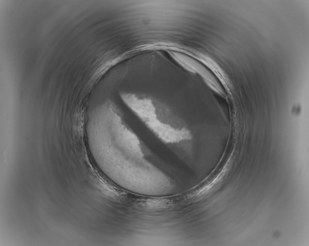 X0000094900857200712201133