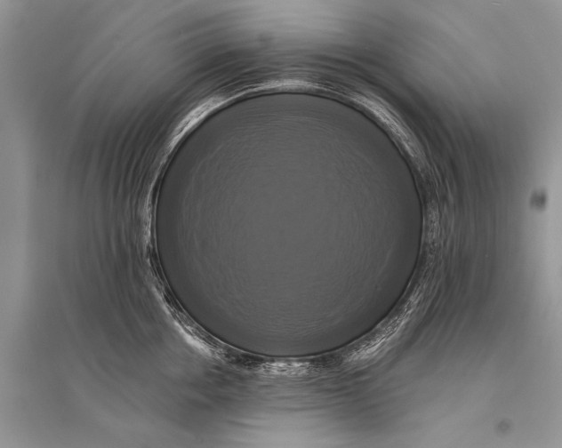 X0000094900858200712201133