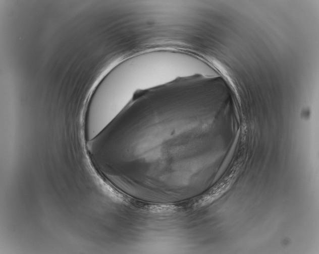 X0000094900859200712201133