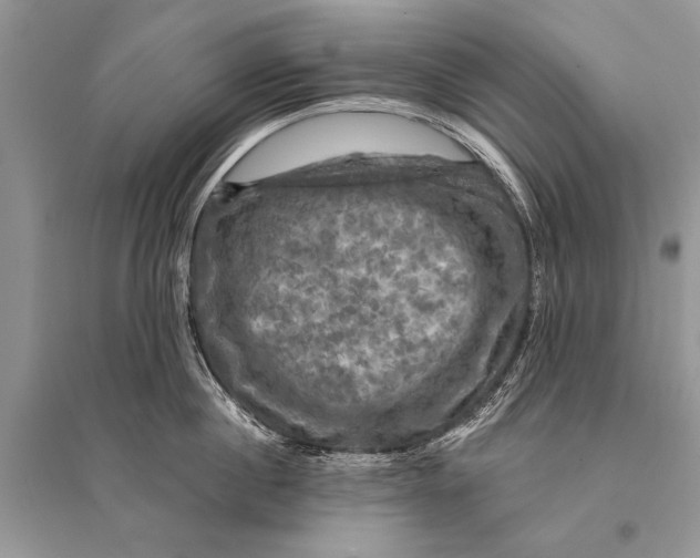 X0000094900860200712201133