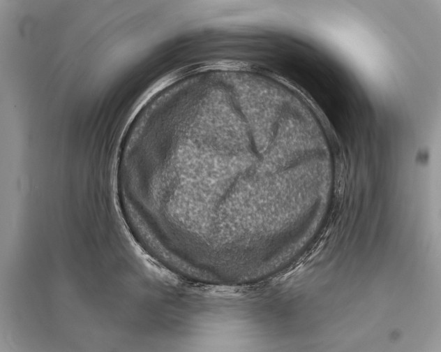 X0000094900861200712201133