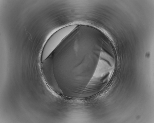 X0000094900862200712201133