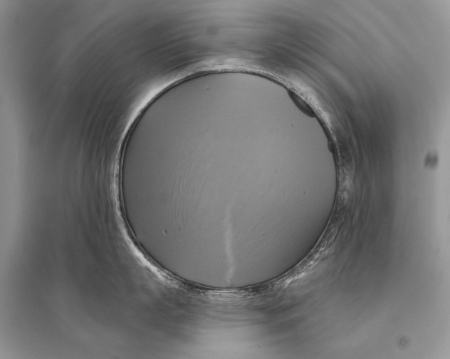 X0000094900863200712201133