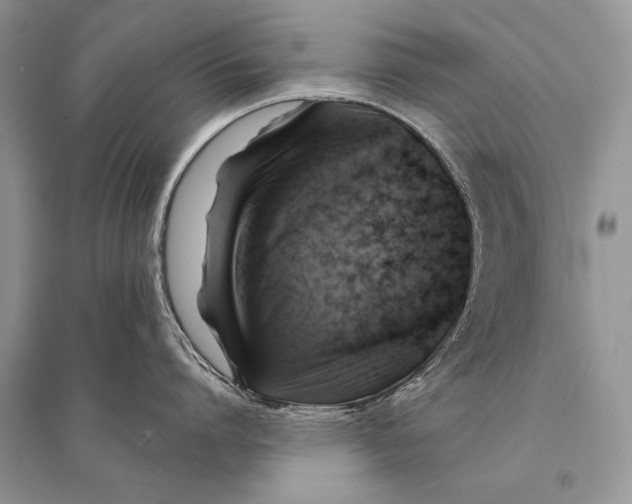 X0000094900864200712201133