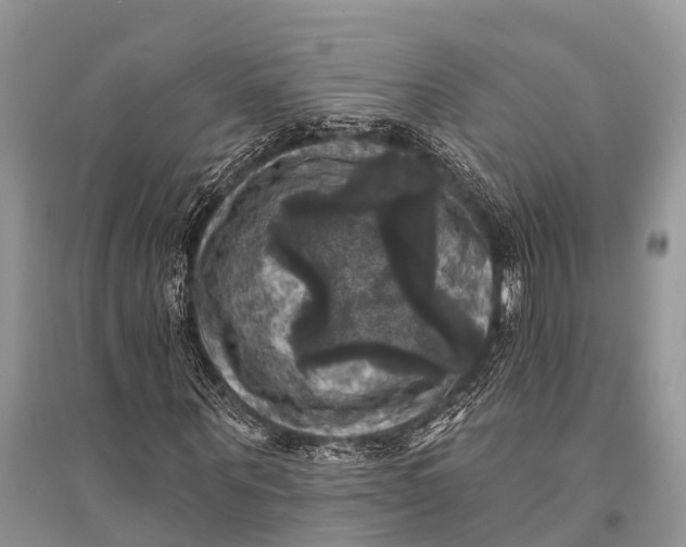 X0000094900867200712201132