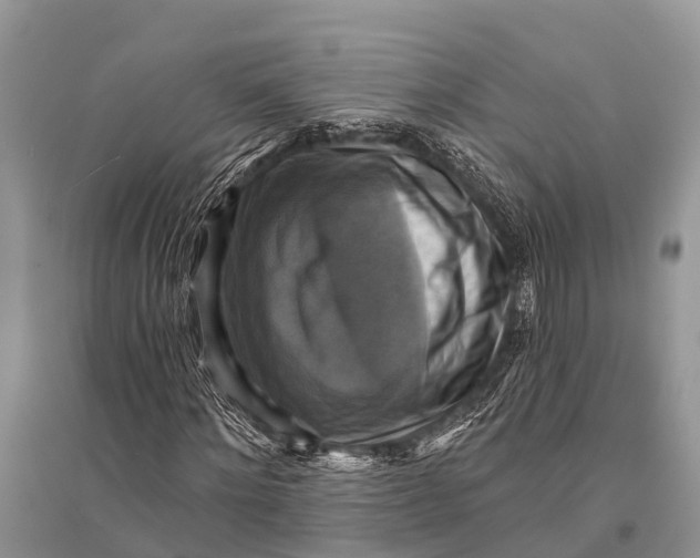 X0000094900868200712201132