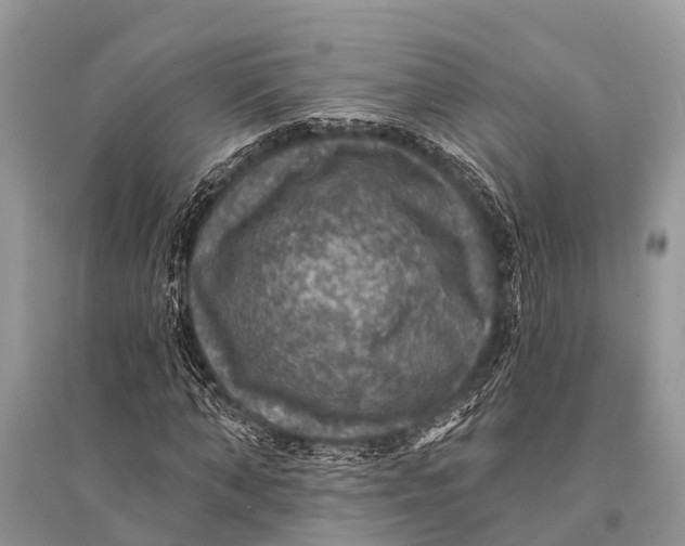 X0000094900870200712201132