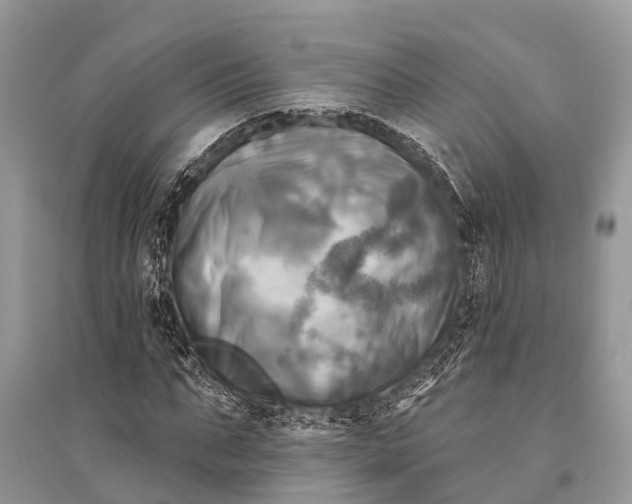 X0000094900871200712201132