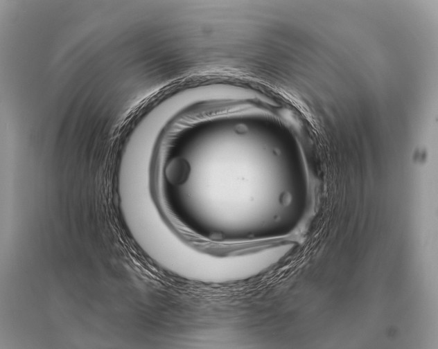 X0000094900872200712201132