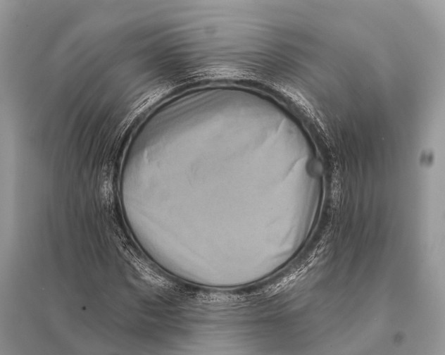 X0000094900873200712201132