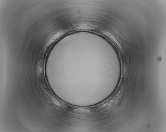 X0000094900874200712201132