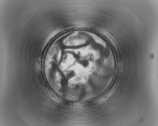 X0000094900875200712201132