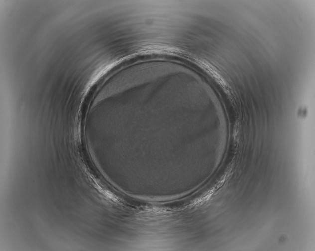 X0000094900877200712201132