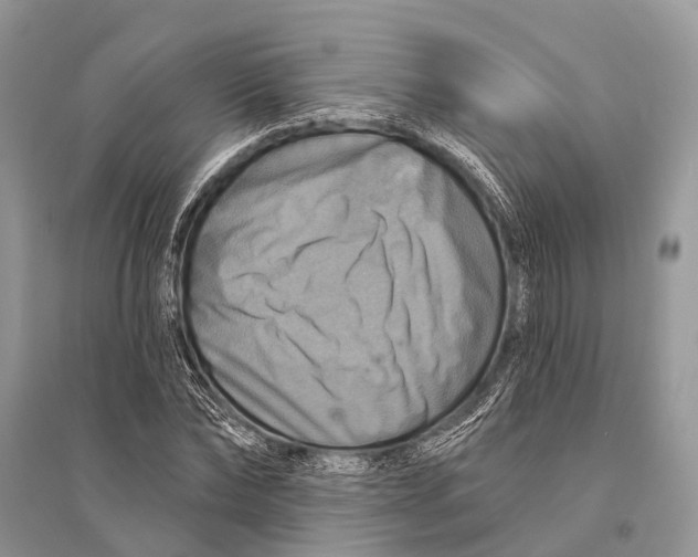 X0000094900878200712201132