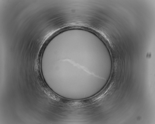 X0000094900879200712201132