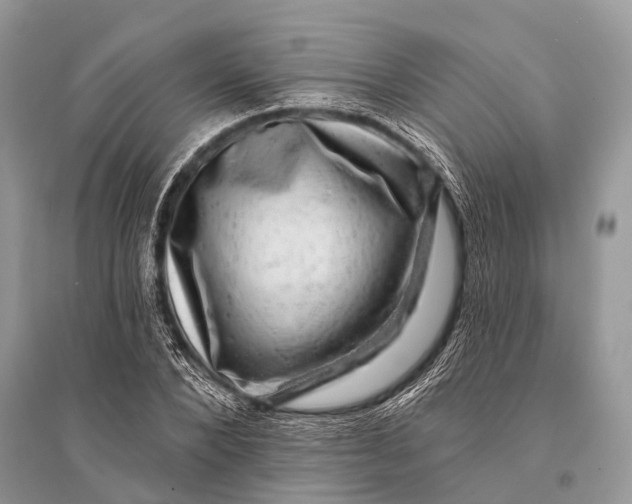 X0000094900880200712201132