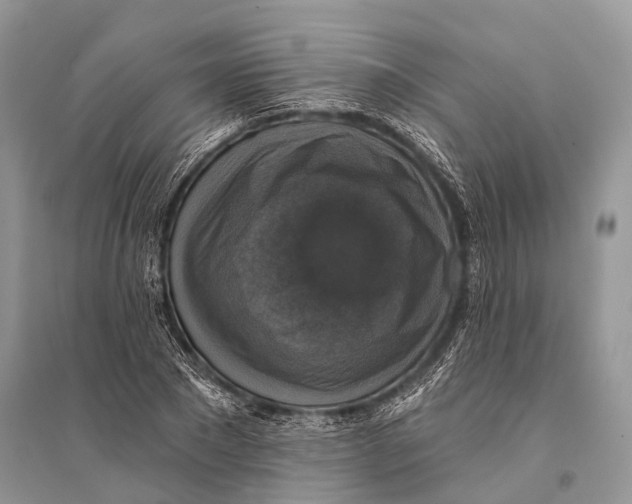 X0000094900881200712201132