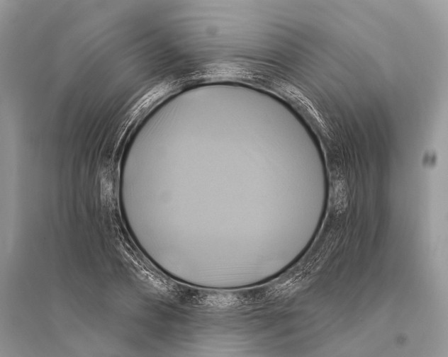 X0000094900882200712201132