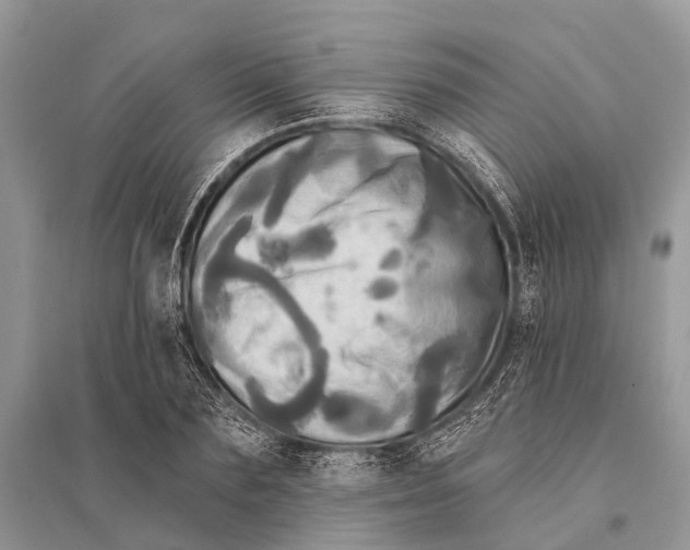 X0000094900883200712201132