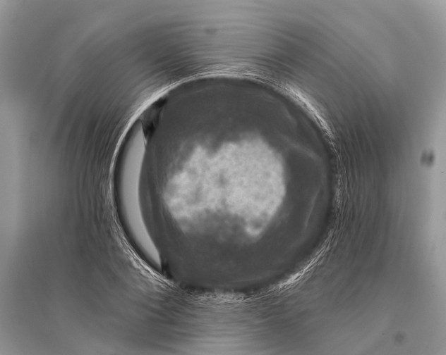 X0000094900884200712201132