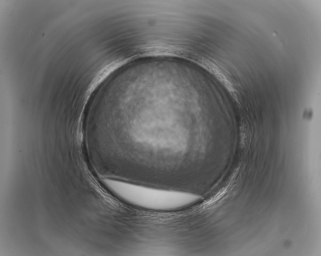 X0000094900885200712201132