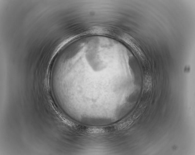 X0000094900886200712201132